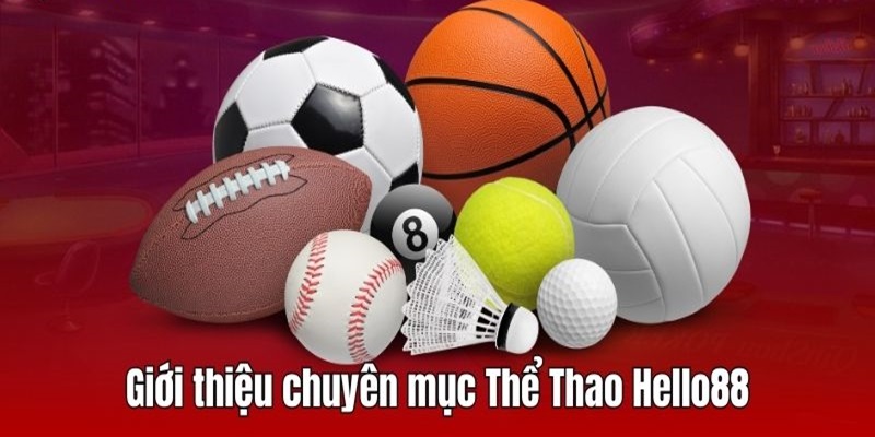 Giới thiệu sảnh thể thao Hello88